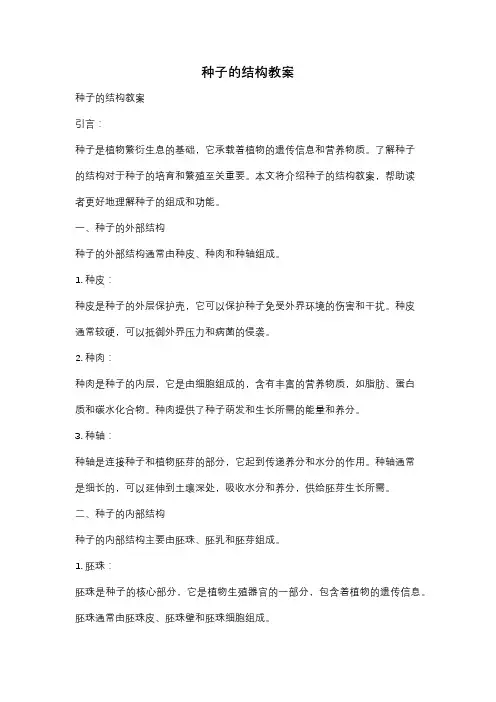 种子的结构教案