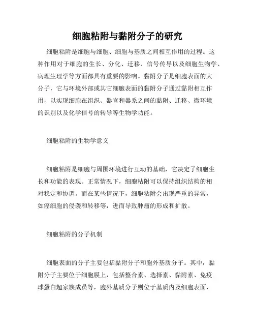 细胞粘附与黏附分子的研究