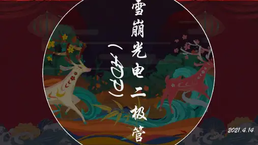 雪崩光电二极管(ADP)演示ppt