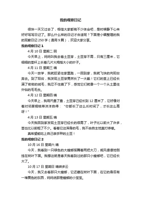 我的观察日记250字（通用9篇）