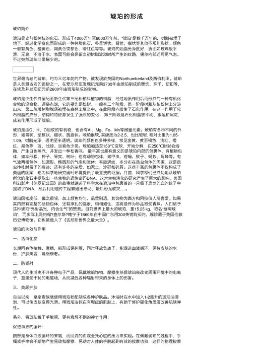 琥珀的形成——精选推荐