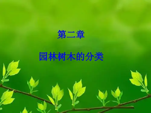 园林树木学课件——园林树木的分类