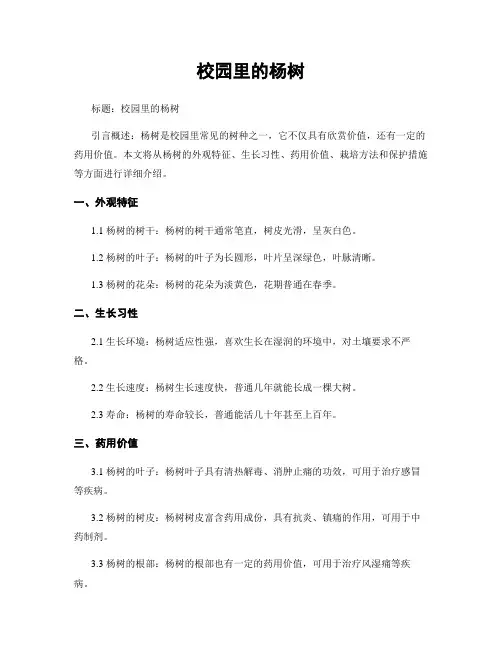 校园里的杨树