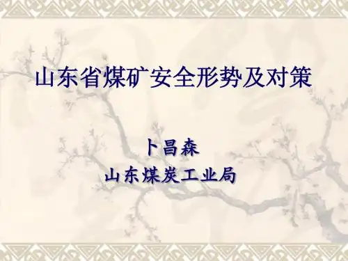 山东省煤矿安全形势及对策-中文1