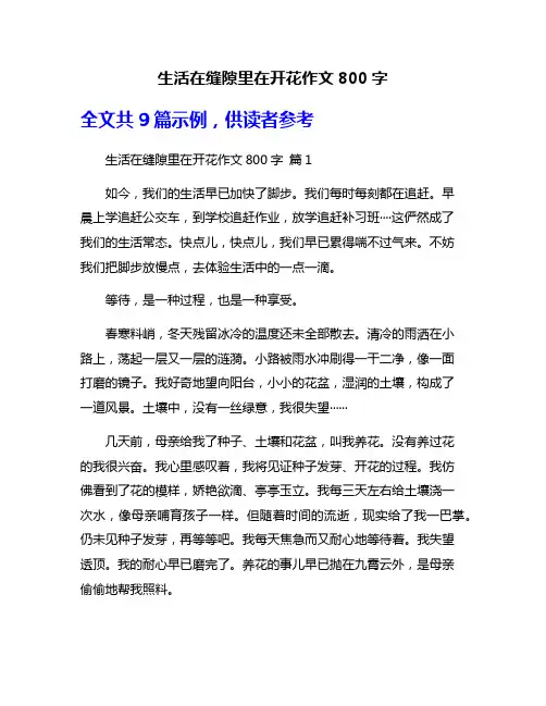 生活在缝隙里在开花作文800字