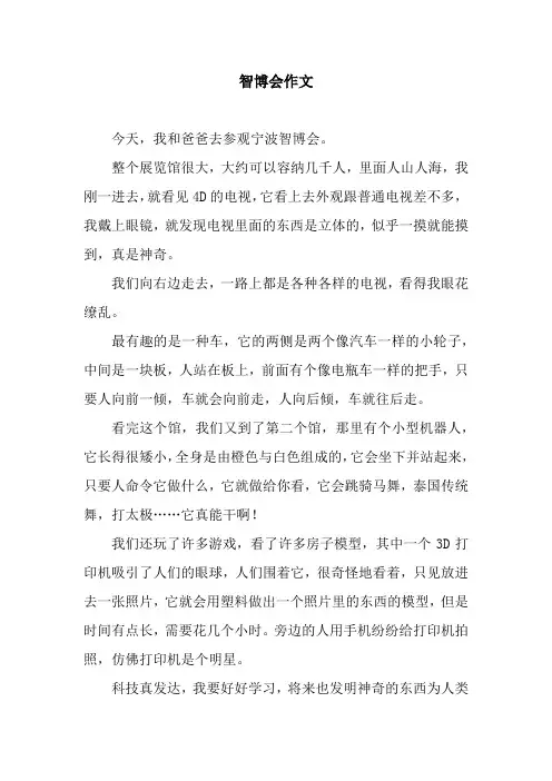 智博会作文