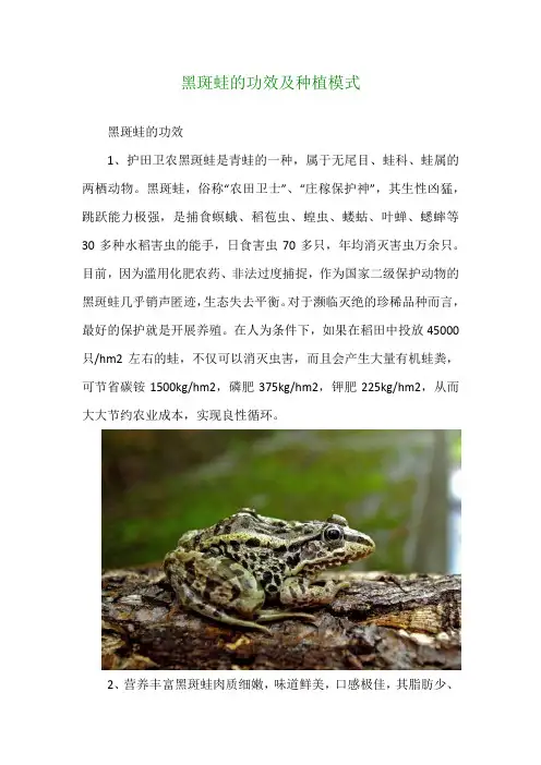 黑斑蛙的功效及种植模式