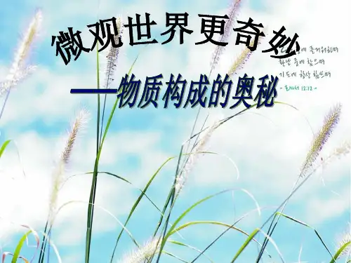 物质构成的奥秘复习专题PPT教学课件