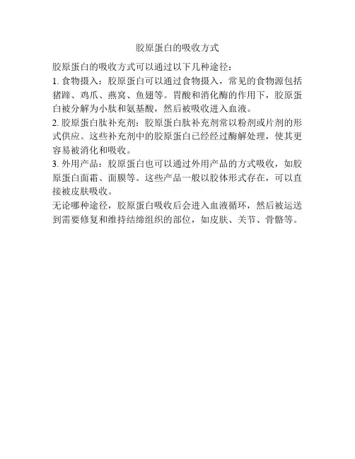胶原蛋白的吸收方式
