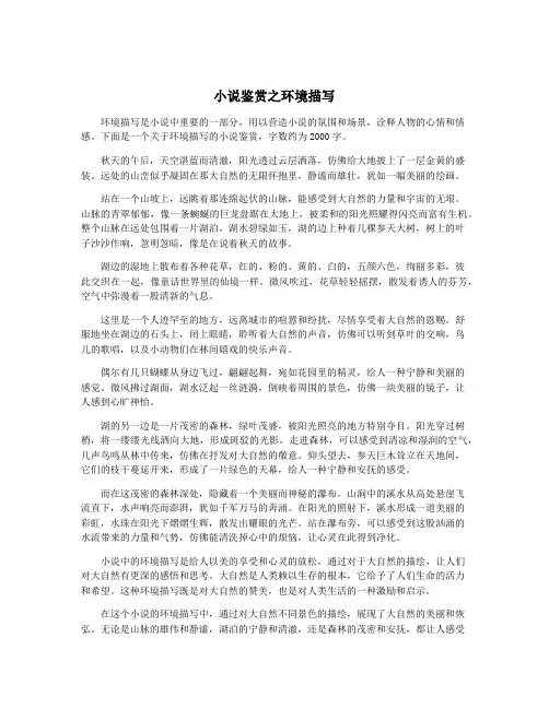 小说鉴赏之环境描写
