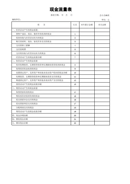 小企业会计准则现金流量(月报)