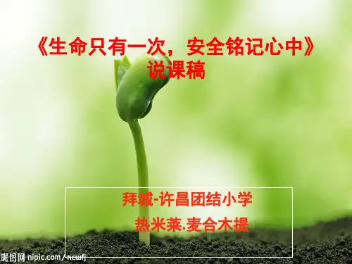 小学二年级安全教育主题班会PPT幻灯片