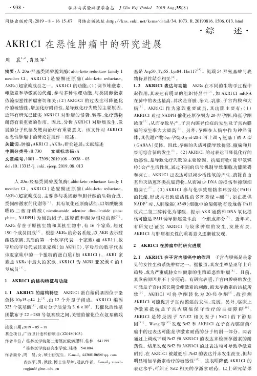 akr1c1在恶性肿瘤中的研究进展