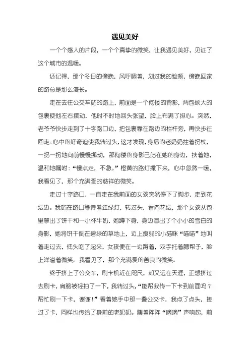 初三作文：遇见美好作文800字_1