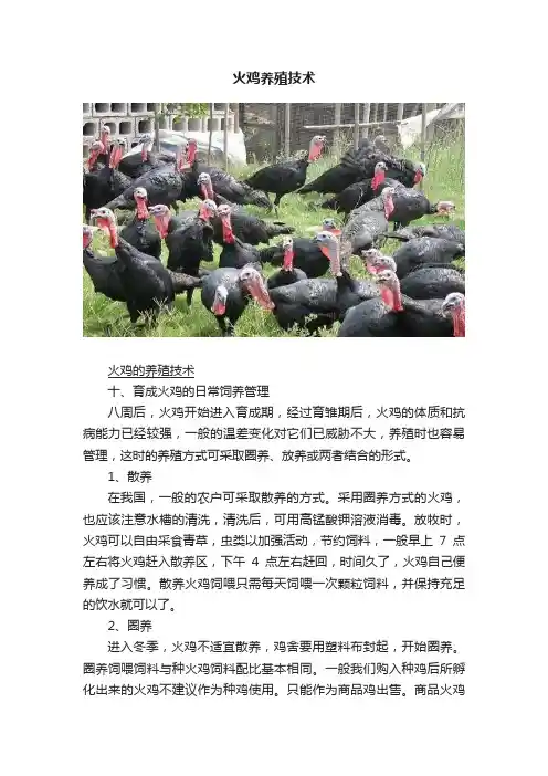 火鸡养殖技术