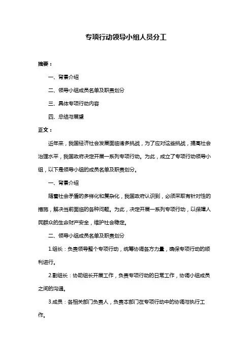 专项行动领导小组人员分工