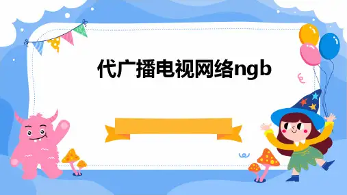 代广播电视网络NGB