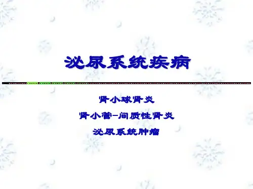 病理学课件PPT 泌尿系统疾病