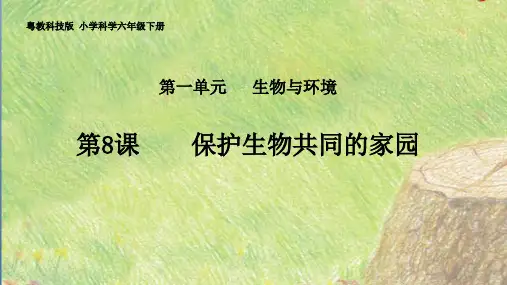 六年级下册科学课件 《保护生物共同的家园》粤教版2019 (共19页)PPT