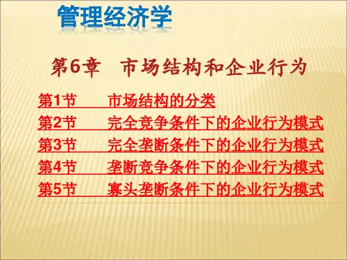 第6章-市场结构和企业行为