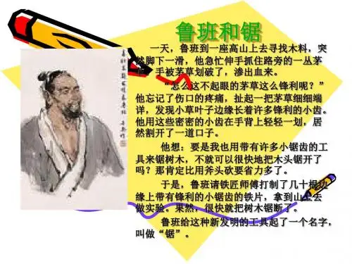 青岛版小学科学《生物的启示》课件