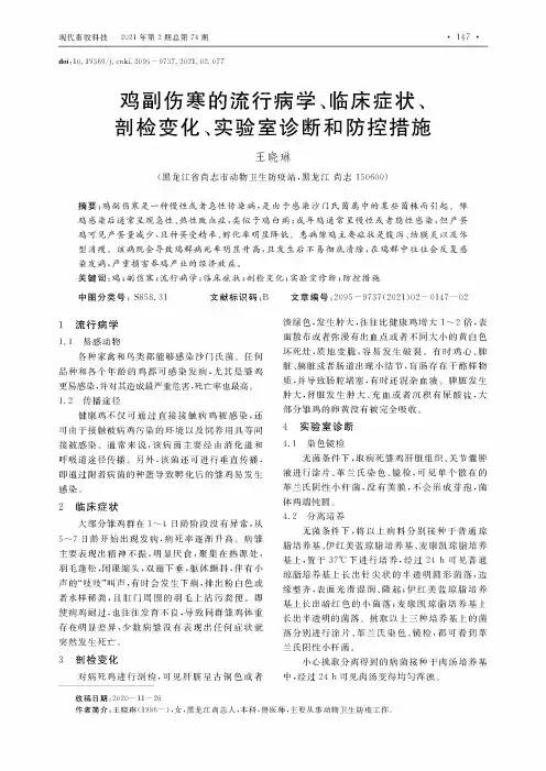 鸡副伤寒的流行病学、临床症状、剖检变化、实验室诊断和防控措施