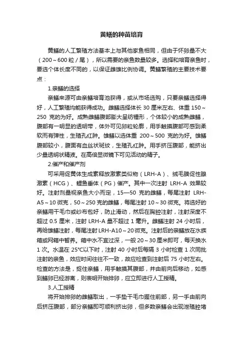 黄鳝的种苗培育