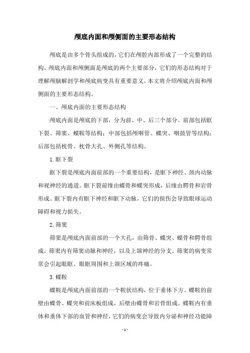 颅底内面和颅侧面的主要形态结构
