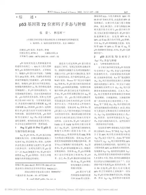 p53基因第72位密码子多态与肿瘤