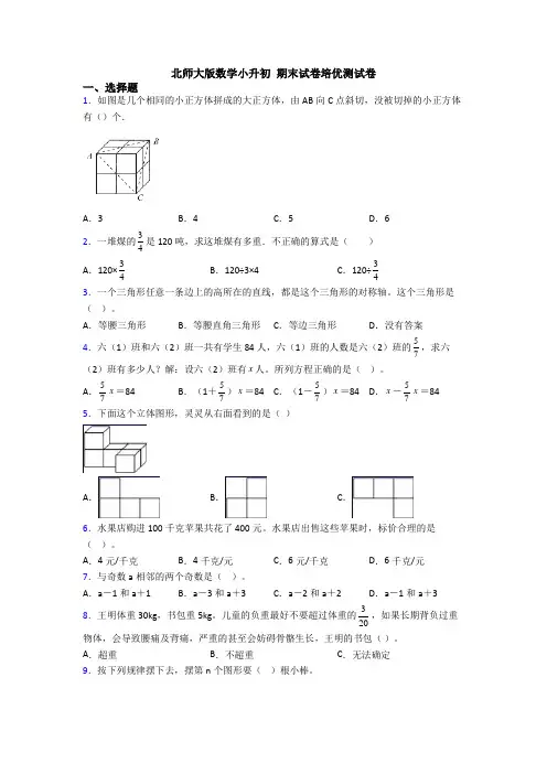 北师大版数学小升初 期末试卷培优测试卷