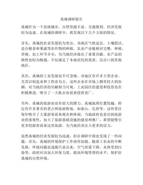 禹城调研报告
