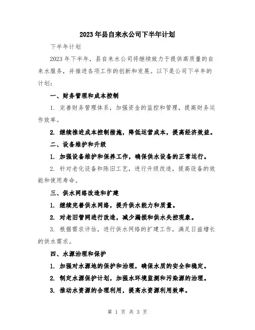 2023年县自来水公司下半年计划