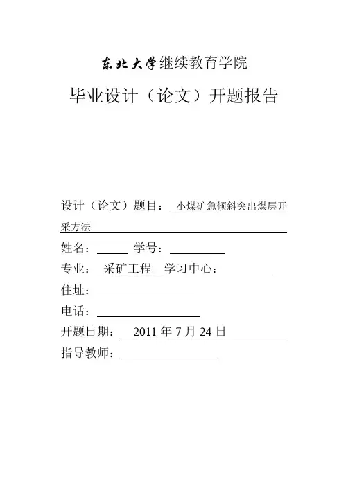 白俊亮开题报告