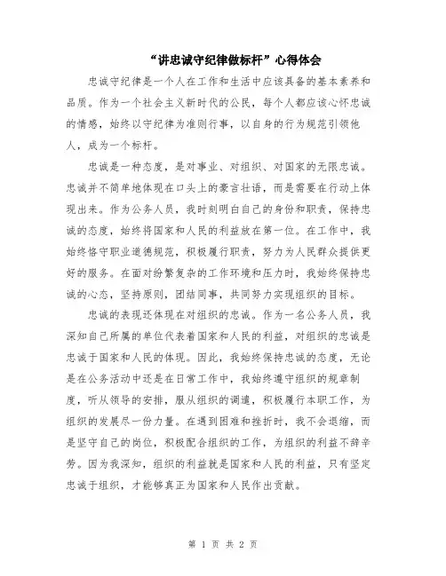 “讲忠诚守纪律做标杆”心得体会