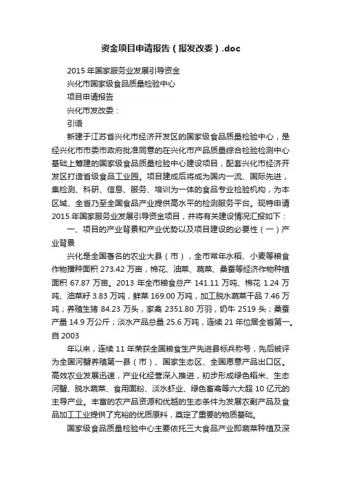 资金项目申请报告（报发改委）.doc