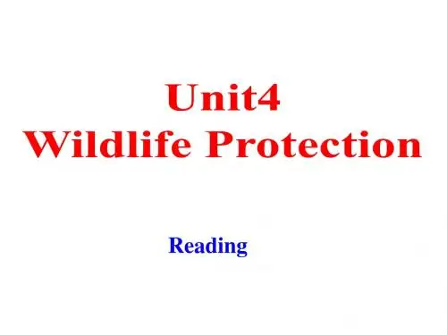人教版高中英语必修二Unit4__Reading市级公开课课件(共26张PPT)