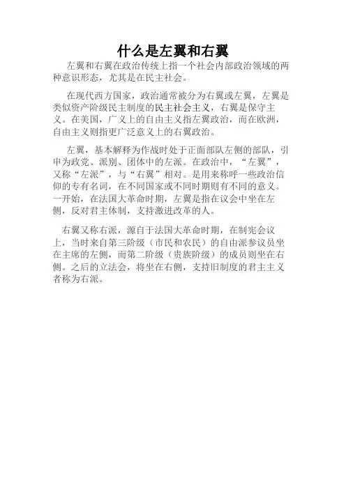 什么是左翼和右翼