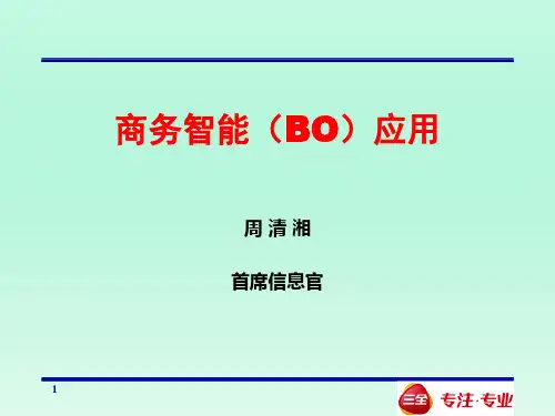 商务智能(BO)应用案例.pptx