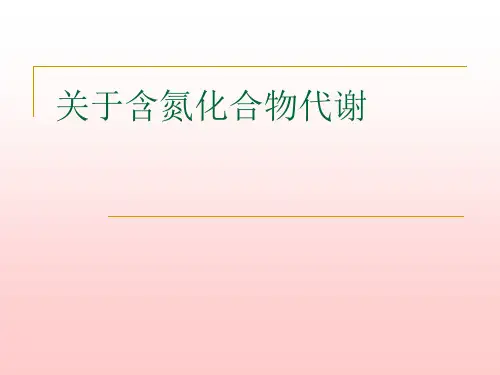 关于含氮化合物代谢课件