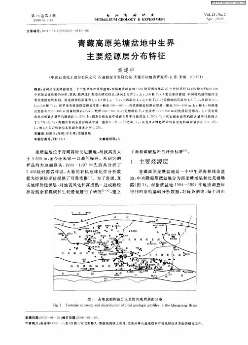 青藏高原羌塘盆地中生界主要烃源层分布特征