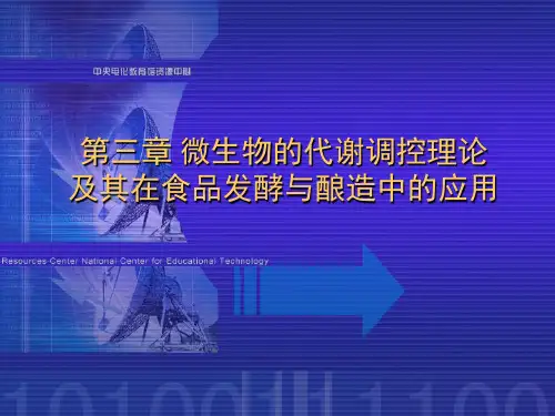 3第三章微生物的代谢调控理论及其在食品发酵与酿造中的应用(精)
