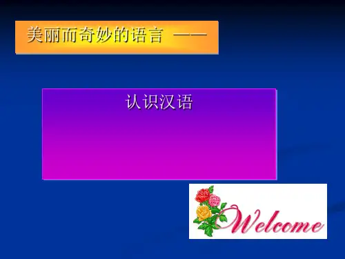 美丽而奇妙的语言——认识汉字PPT
