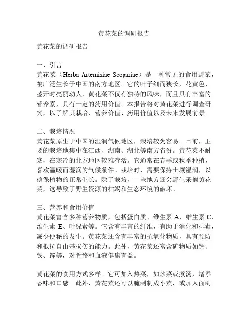 黄花菜的调研报告