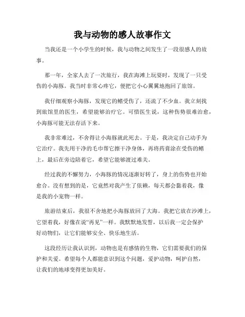 我与动物的感人故事作文