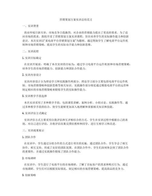 营销策划方案实训总结范文