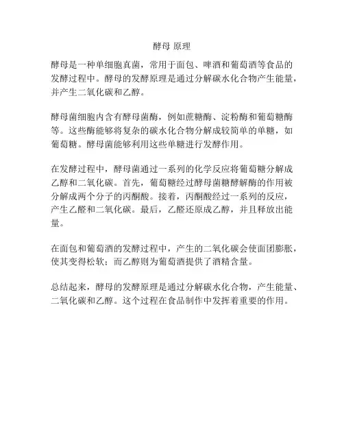 酵母 原理