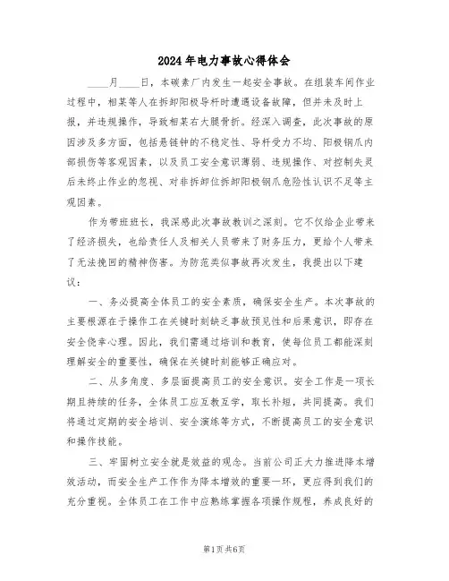 2024年电力事故心得体会（五篇）