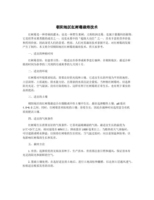 朝阳地区红树莓栽培技术