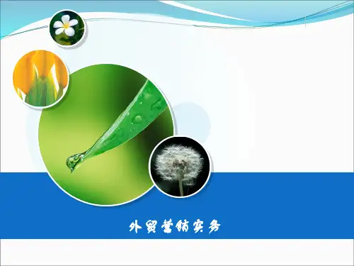 国际市场调研概述(PPT 85张)