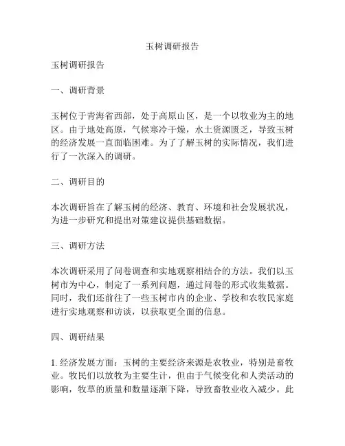 玉树调研报告